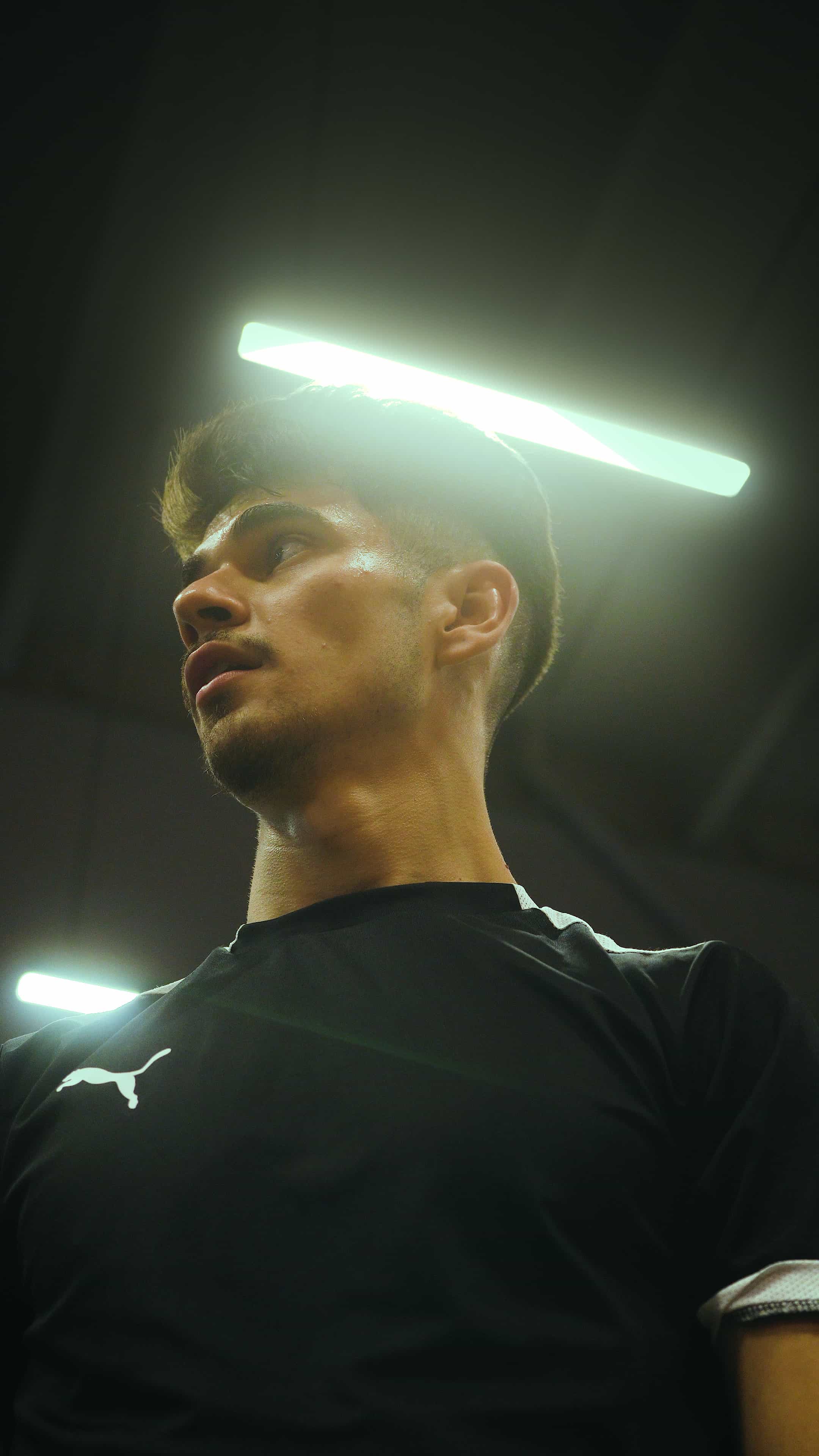 Лого на специалиста Антонио Илиев